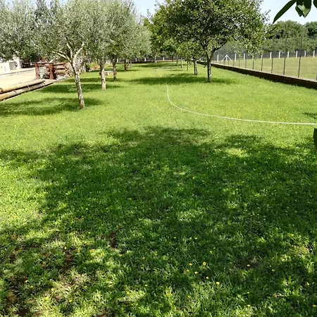Apartamento La Casa Di Ori Castel Sant'Elia